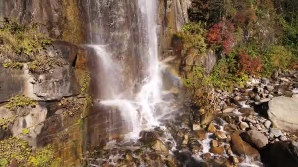 紅葉に覆われた渓谷を流れる川のイメージ — ストック動画