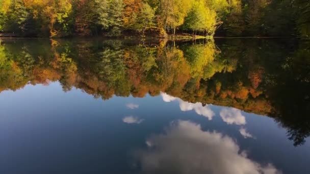 Impresionante Vista Bosque Cubierto Colores Otoñales Sus Reflejos Lago — Vídeos de Stock