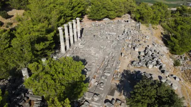 Pohled Historické Zříceniny Sloupy Starobylé Divadlo Chrámy Starobylém Městě Priene — Stock video