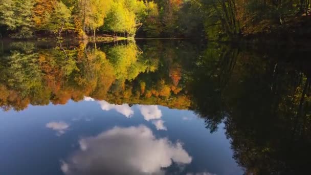 Imponerande Utsikt Över Skog Täckt Med Höstfärger Och Dess Reflektioner — Stockvideo
