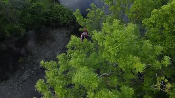 Colpo Aereo Turisti Crociera Barche Rosse Attraverso Foresta Alluvionale — Video Stock