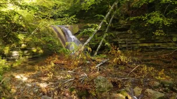 Magnificent Forest Full Trees Decorated Autumn Colors Waterfall — Stock Video
