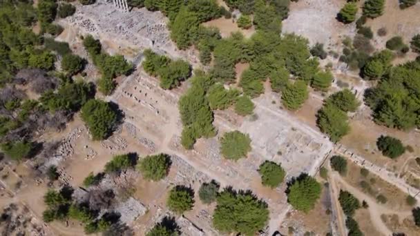 Vista Ruínas Históricas Colunas Teatro Antigo Templos Antiga Cidade Priene — Vídeo de Stock