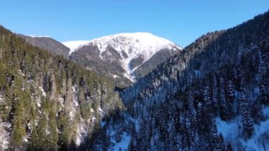 Dağlar, ormanlar ve ağaçlar karla kaplıydı. Çam, sedir, hornbeam ormanları. Dokunulmamış dağlardan ve ormanlardan bir doğa manzarası.