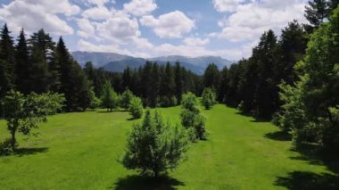 Dağlar, ormanlar, ağaçlar ve bulutlu mavi gökyüzü. Çam, sedir, hornbeam ormanları. Dokunulmamış dağlardan bir doğa görüntüsü..
