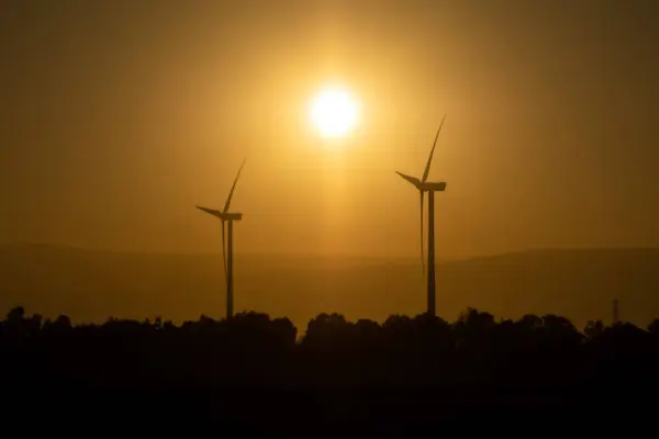 Yenilenebilir enerji kaynaklarından biri olan ve elektrik üretiminde kullanılan rüzgar bıçaklarının görüntüsü..