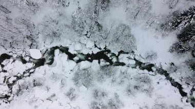 Ağaçların arasından akan karlı orman ve nehir görüntüleri..
