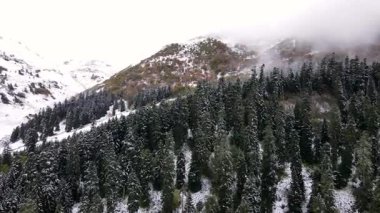 Karla kaplı dağların, ormanların ve sonbahar renklerinin görüntüleri.
