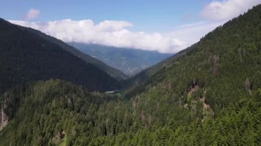 Çam, sedir, boynuz demeti ormanları ve baharda bulutlu mavi gökyüzü..