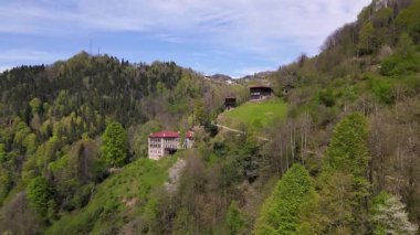 Tarihi köşkler. Yeşil ormanlar, ağaçlar ve çayırlar arasındaki tarihi köşkler. Ahşap ve taştan yapılmış eski konakların görüntüleri..