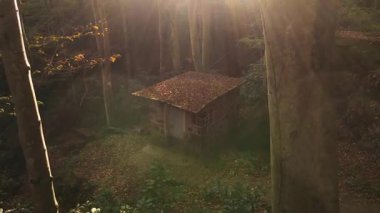 Sonbahar renkleriyle ve yapraklarla süslenmiş ormandaki taş fabrikasının görüntüleri..