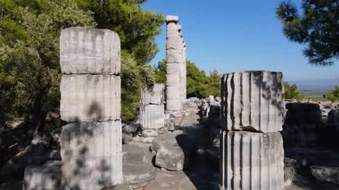 Antik Priene şehrinde tarihi kalıntıların, sütunların, antik tiyatro ve tapınakların görüntüleri.