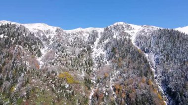 Karla kaplı dağların, ormanların ve sonbahar renklerinin görüntüleri.
