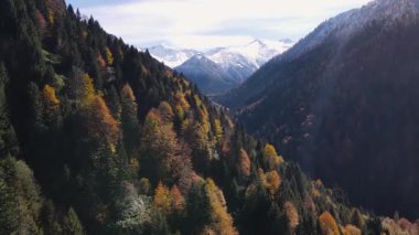 Karla kaplı dağların, ormanların ve sonbahar renklerinin görüntüleri.