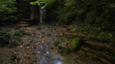 Sonbahar renkleriyle süslenmiş ağaçlarla dolu bir ormanda bir şelale ve göl görüntüsü..