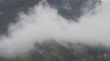 Yeşil çay bahçeleri ve yeşil çay bahçeleri üzerindeki dans eden bulutlar, Karadeniz 'deki Rize ilinin en önemli geçim kaynağıdır..