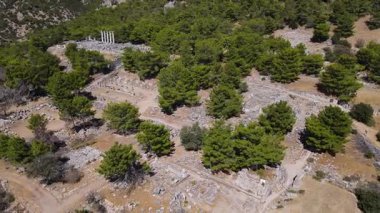 Antik Priene şehrinde tarihi kalıntıların, sütunların, antik tiyatro ve tapınakların görüntüleri.