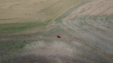 Göl kıyısında ata binen insanların görüntüleri..