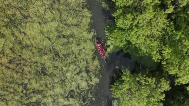 Turistlerin su baskını ormanlarında kırmızı teknelerle dolaşırken çekilmiş hava görüntüleri..
