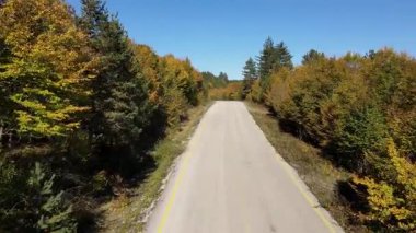 Sonbahar renkleriyle süslenmiş ormandan geçen yolun drone görüntüleri..