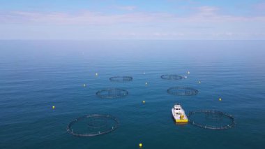 Balık havuzlarının görüntüsü, su kültürünün ana formu. Somon, levrek, levrek ve alabalık denizde, göllerde ve göllerde ticari balıkçılık için kullanılan balık havuzlarında en yaygın olarak yetişen balıklardır..