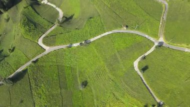 Çay tarlalarının ve dik yamaçlardaki çay teraslarının görüntüleri..