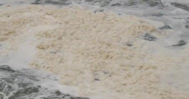 Deniz salyası, deniz sümüğü veya deniz sümüğü olarak da adlandırılan balçık benzeri organik maddelerin birleşimi..