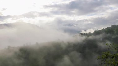 Yeşil çay bahçeleri ve yeşil çay bahçeleri üzerindeki dans eden bulutlar, Karadeniz 'deki Rize ilinin en önemli geçim kaynağıdır..