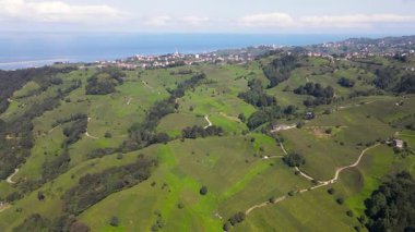 Çay tarlalarının ve dik yamaçlardaki çay teraslarının görüntüleri..