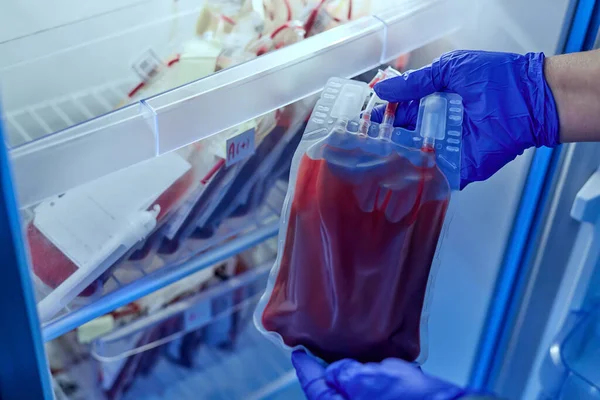 doctor holding a bag of red blood in the blood storage refrigerator in the laboratory of the blood bank department in the hospital. Life saving and treatment concept
