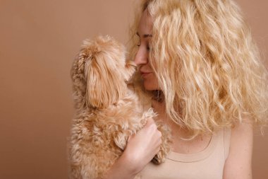 Bir kız kollarında sevimli bir Maltipoo köpeği tutar. Sade bir bej arka planda, bir köpeğe duyulan sevgi kavramı.
