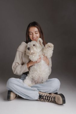 Batı Highland Beyaz Teriyeri 'nin gri arka planında beyaz bir köpeğe sarılan kız.