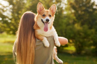 Genç bir kız neşeli ve komik bir Galli Corgi 'yi kollarında tutuyor. Güneşli bir havada, parkta. Mutlu köpek kavramı.