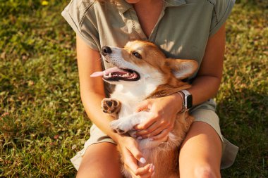 Pembroke Welsh Corgi 'yi kucaklayan genç bir kız güneşli havada parkta, mutlu köpek konsepti.