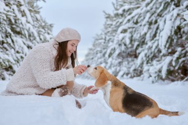 Kışın giysili kız kışın karda Beagle köpeğiyle oynar, kış tatili konsepti.