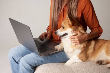 Genç bir kadın evde köpeğinin yanındaki dizüstü bilgisayarda çalışıyor. Ev köpeği dizüstü bilgisayara bakıyor, hayvanları seviyor.