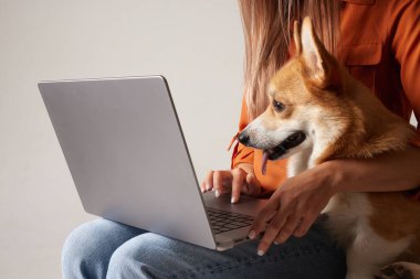 Genç bir kadın evde köpeğinin yanındaki dizüstü bilgisayarda çalışıyor. Ev köpeği dizüstü bilgisayara bakıyor, hayvanları seviyor.