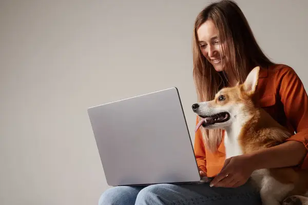 Genç bir kadın evde köpeğinin yanındaki dizüstü bilgisayarda çalışıyor. Ev köpeği dizüstü bilgisayara bakıyor, hayvanları seviyor.
