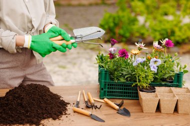 Bahçıvanın eli bahçe aletleri seti, bahçıvanlık konsepti.