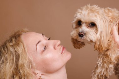 Bir kız kollarında sevimli bir Maltipoo köpeği tutar. Sade bir bej arka planda, bir köpeğe duyulan sevgi kavramı.