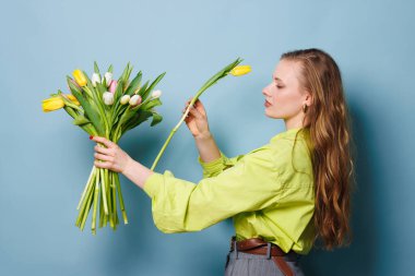 Çiçekçi kız temiz mavi arka planda bir buket bahar lale çiçeği topluyor.
