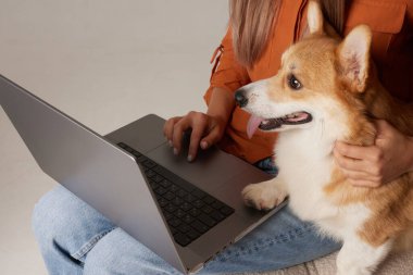 Genç bir kadın evde köpeğinin yanındaki dizüstü bilgisayarda çalışıyor. Ev köpeği dizüstü bilgisayara bakıyor, hayvanları seviyor.