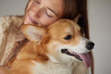 Kız Corgi 'ye sarılıyor, hayvanlarla ilgileniyor ve köpekleri seviyor.