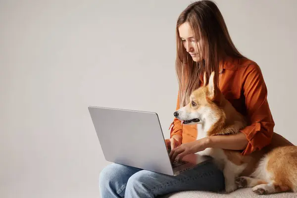 Genç bir kadın evde köpeğinin yanındaki dizüstü bilgisayarda çalışıyor. Ev köpeği dizüstü bilgisayara bakıyor, hayvanları seviyor.