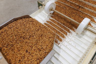 Tahıl ayıklama makinesi, Paddy makinesi bir mahsulün tanelerini ayırıyor, tahıl soyma ürünlerini ayırıyor. tahıl kalitesi kavramı