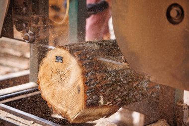 Kereste fabrikasında kesilen bir kütüğün yakın çekim görüntüsü. Testere ucu görünür durumda ve talaş etrafta uçuşuyor. Aktif kesimi gösteriyor. Kütük doğal ahşap tanecikleri ve pürüzlü dokuları gösteriyor..