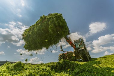 Hayvanlar için saman biçen traktör, yem için yeşil ot biçen traktör, tarım konsepti, hayvan yemi