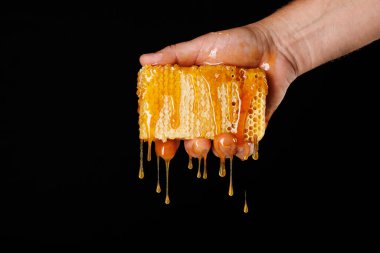 Koyu arka planda bal peteğinden bal sıkmak, arıcılık kavramı, bal üreten arı yetiştiricisi.