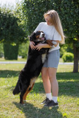 Bir evcil hayvan sahibi güneşli bir günde yeşil bir uçan disk kullanarak köpekleriyle kovalamaca oynar ve dışarıda eğlenir.