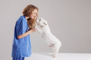 Mavi önlüklü mutlu veteriner, beyaz bir köpekle sağlık kontrolünde bağ kuruyor, veteriner kliniğinde sevgi ve bakım gösteriyor.